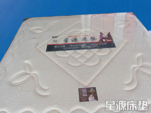 3E椰梦维环保系列