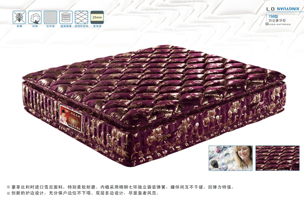 怀化星源床垫家具有限责任公司,怀化酒店宾馆专用床垫,怀化部队工程垫,床垫哪里的好